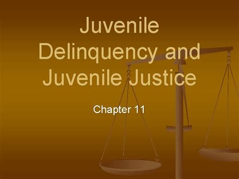 juvenile offender chapter 11|juvenile justice chapter 11.